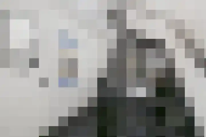 Nieuweweg 26 Hulst thumbnail 7