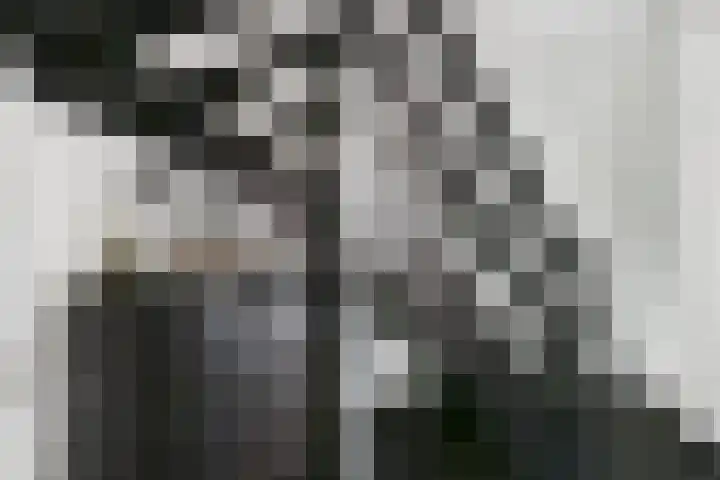 Nieuweweg 26 Hulst thumbnail 8