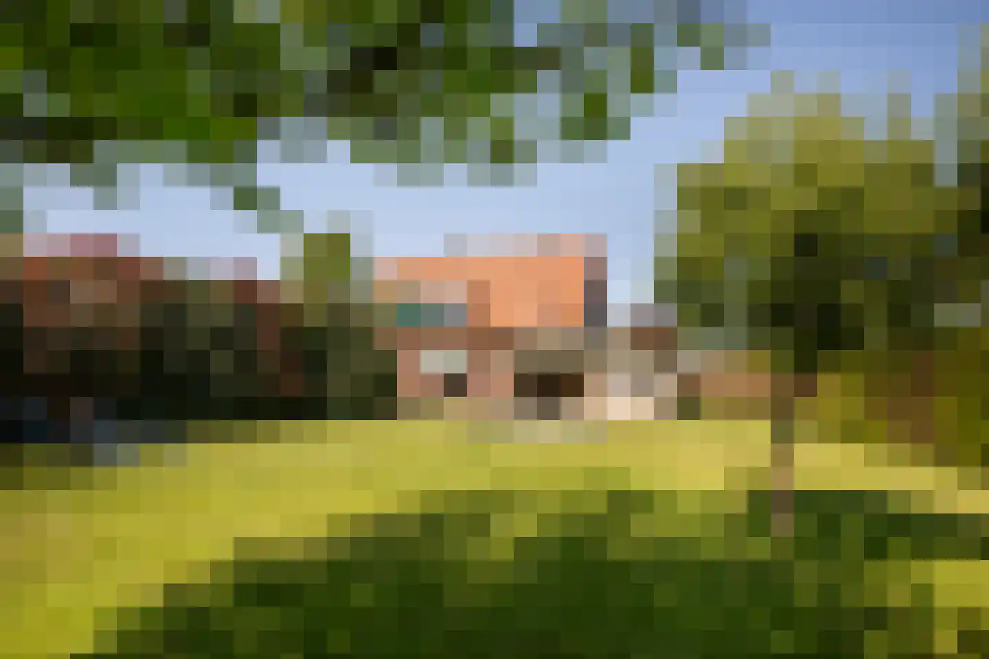 Nieuweweg 29 Honselersdijk