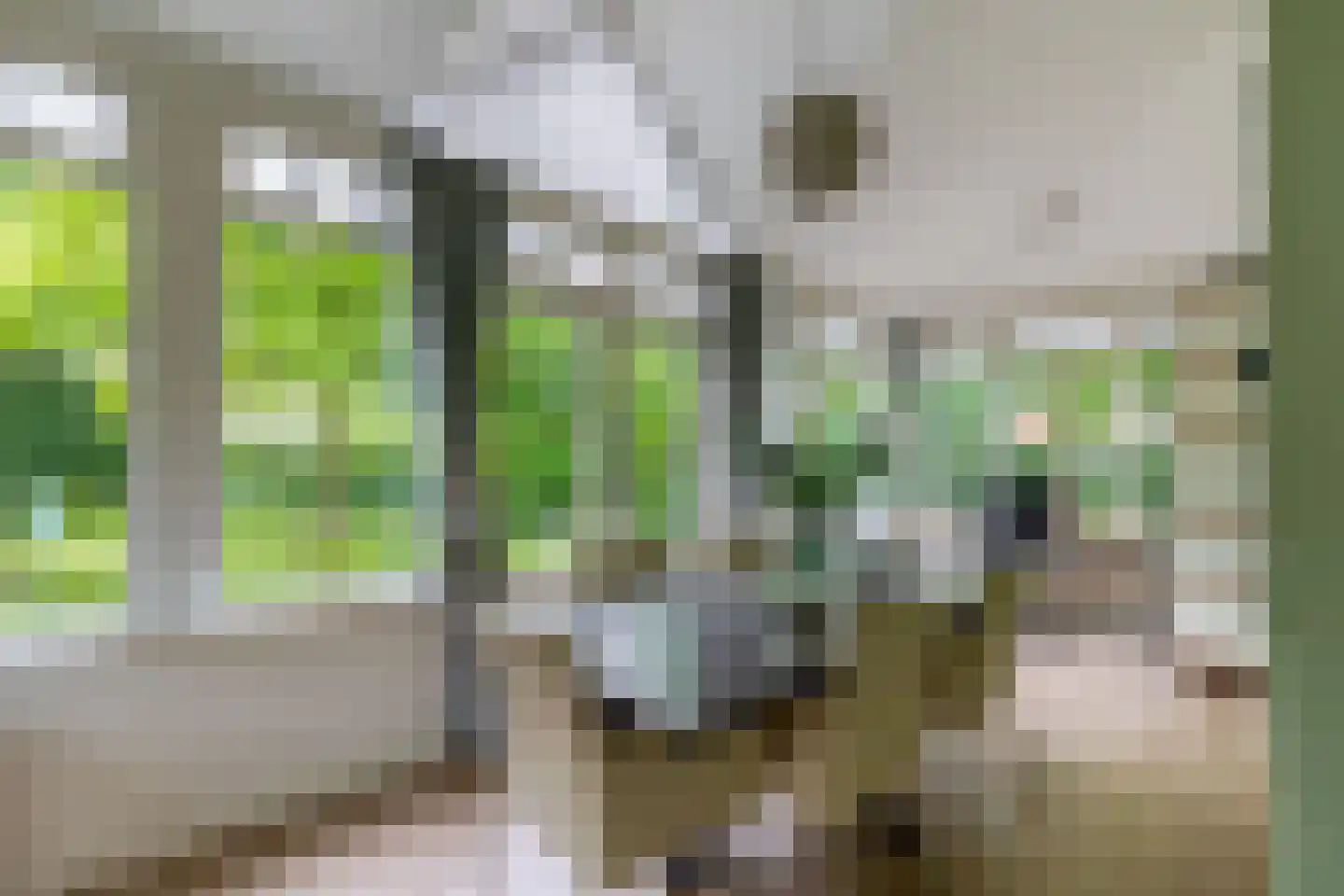 Nieuweweg 29 Renkum thumbnail 21