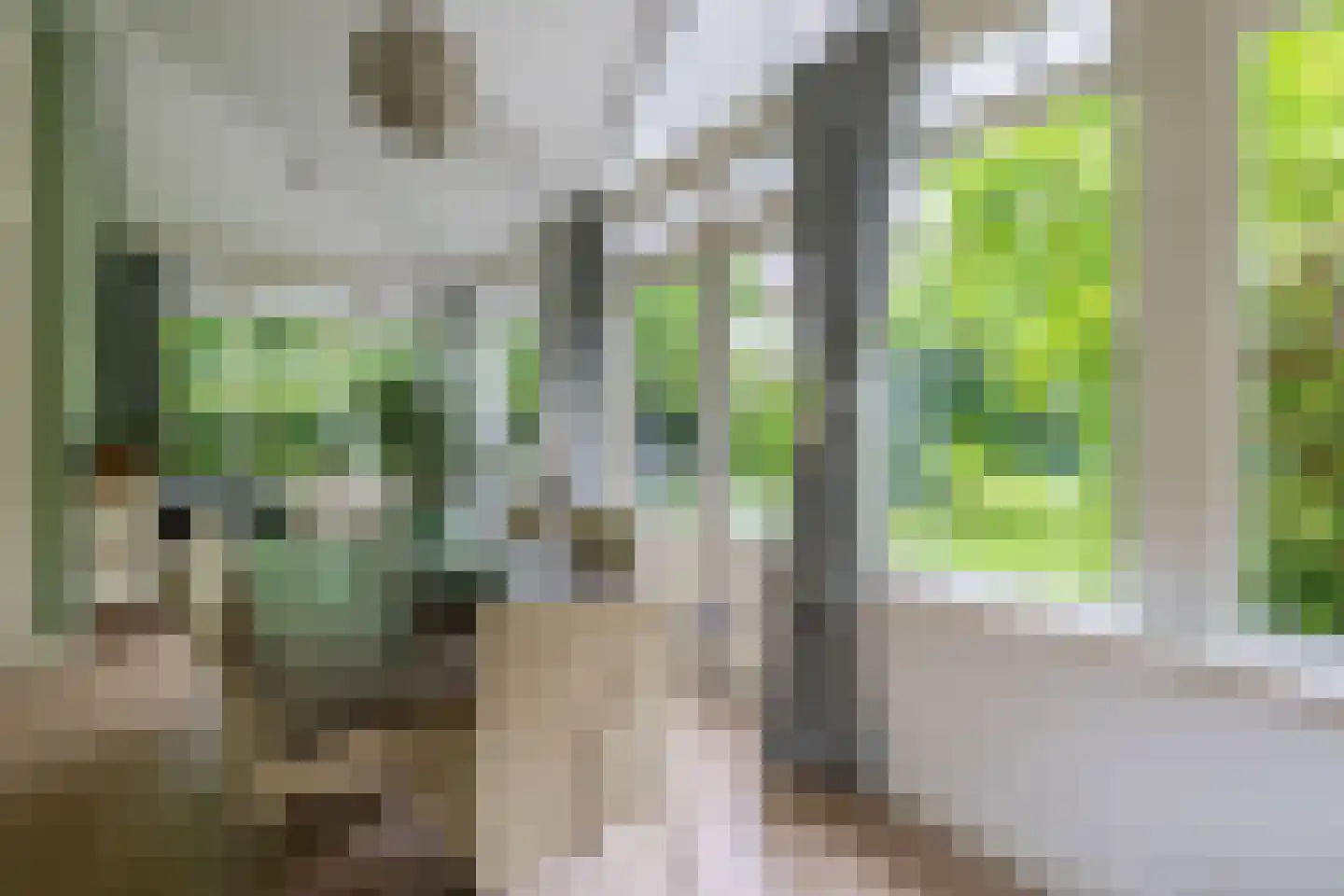 Nieuweweg 29 Renkum thumbnail 22