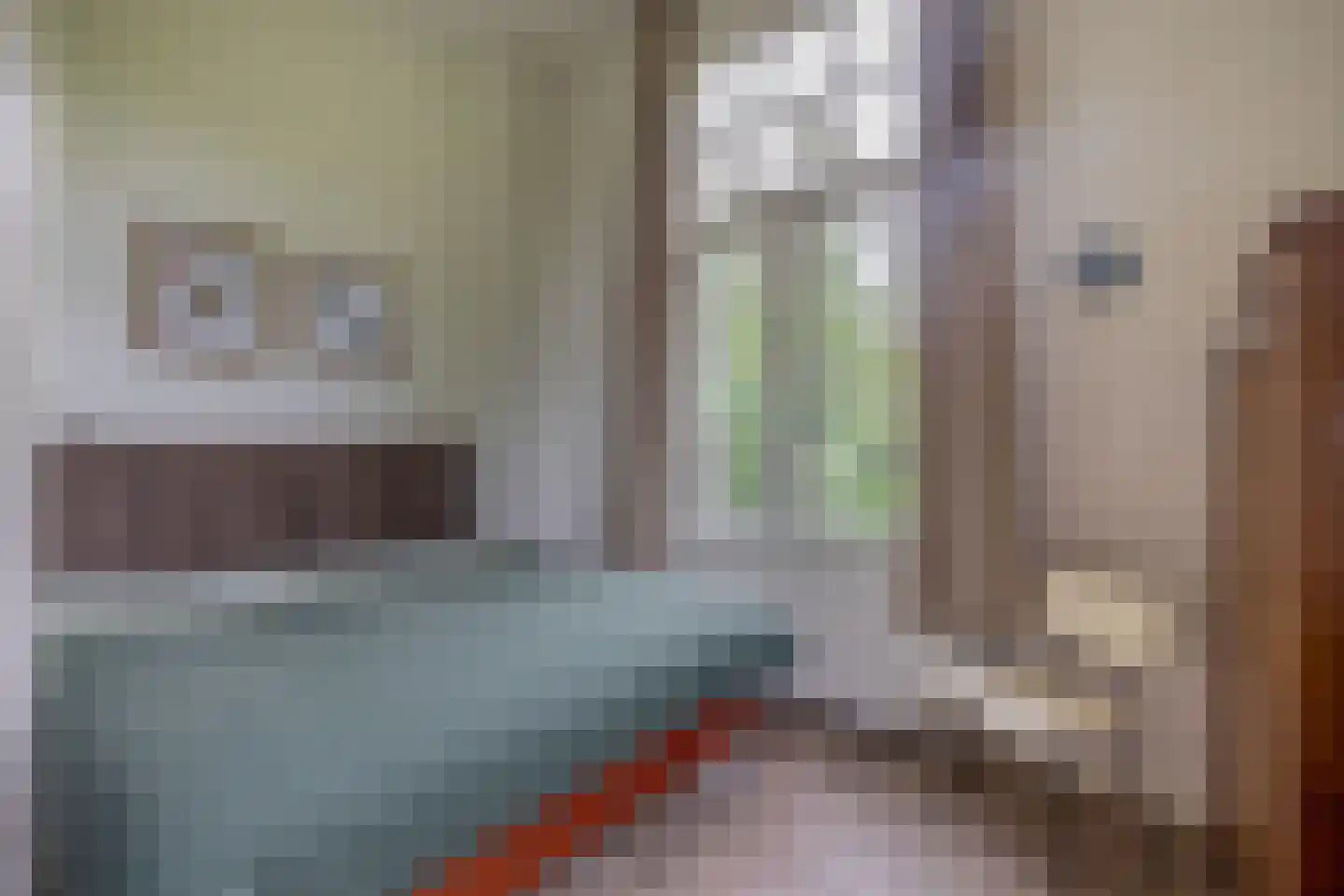 Nieuweweg 29 Renkum thumbnail 33