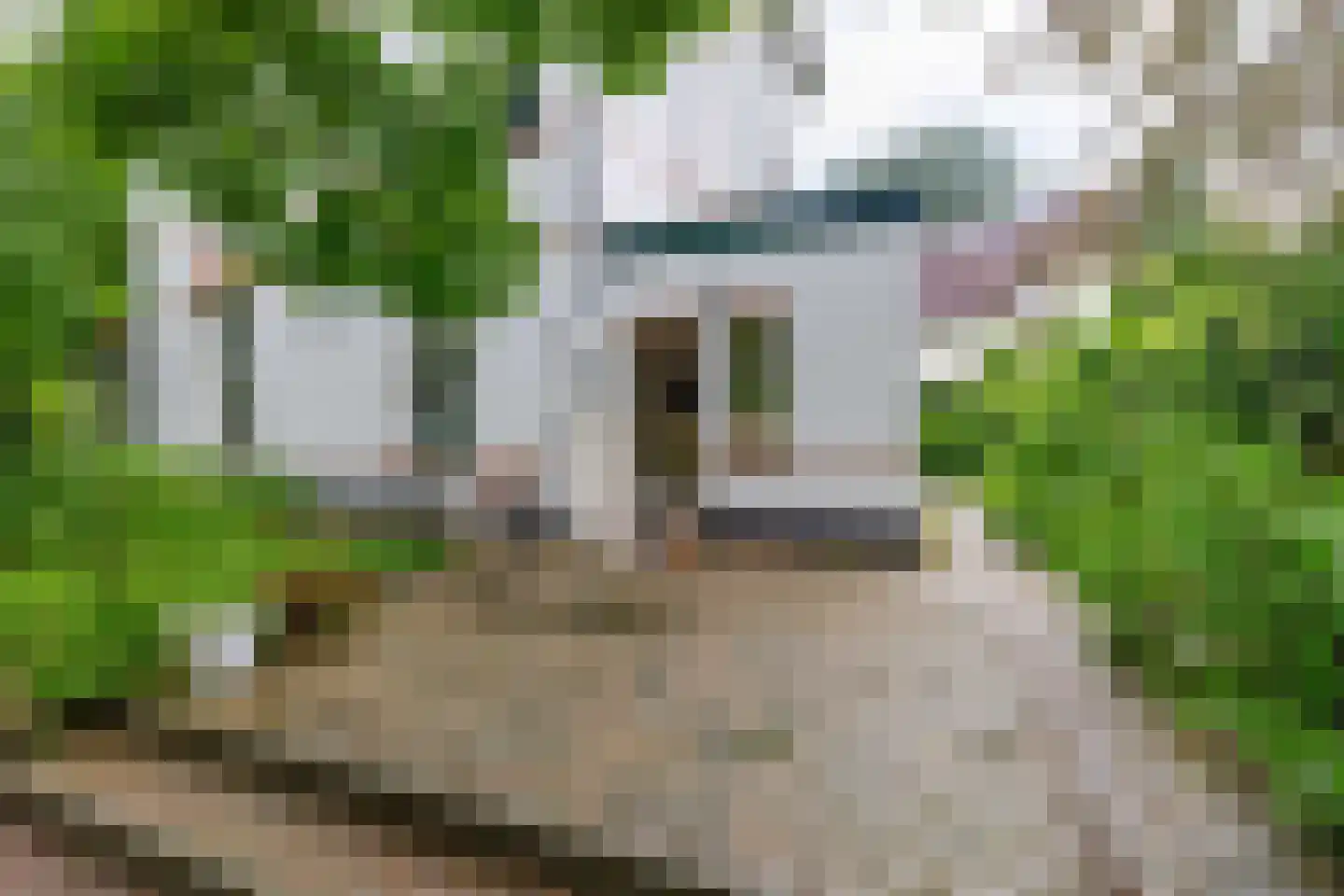 Nieuweweg 29 Renkum thumbnail 49