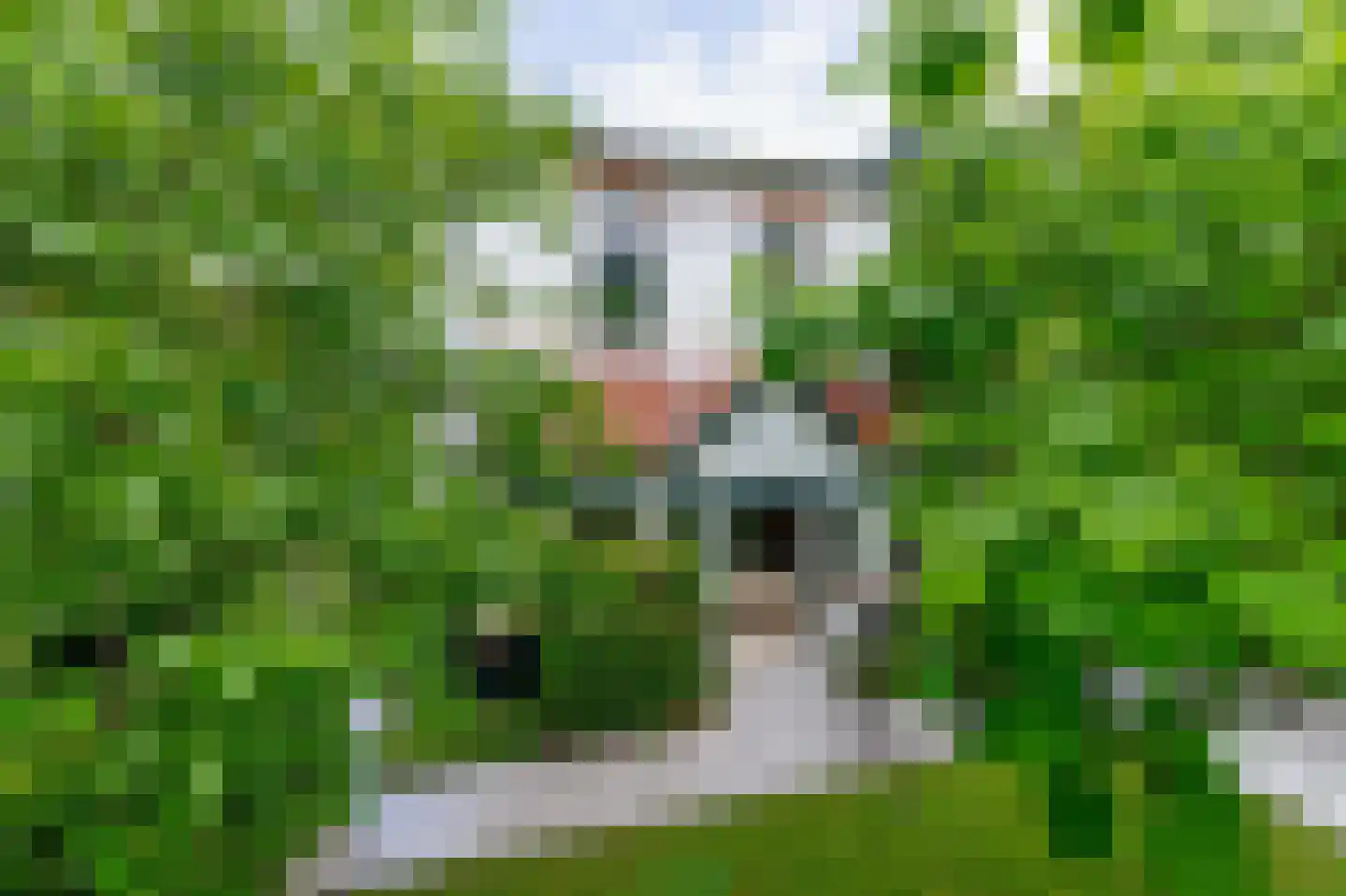 Nieuweweg 29 Renkum thumbnail 64
