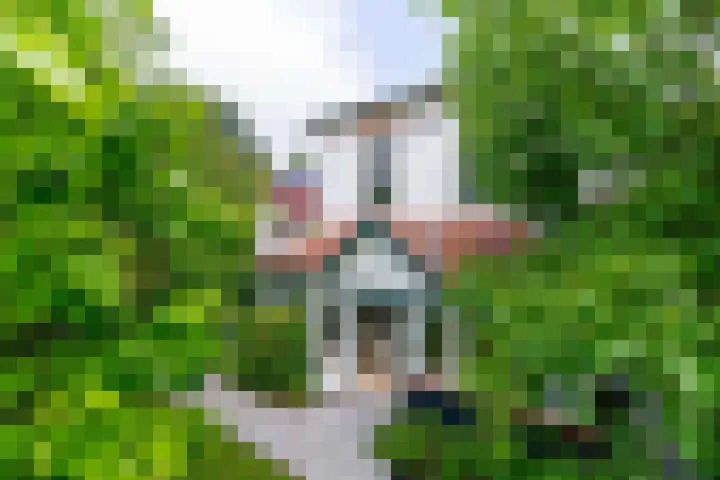 Nieuweweg 29 Renkum thumbnail 67