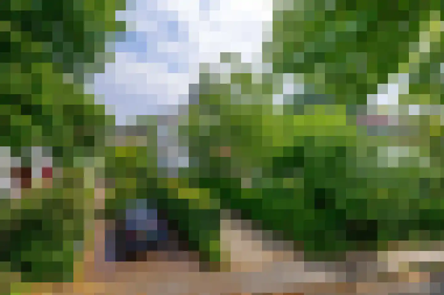 Nieuweweg 29 Renkum thumbnail 8