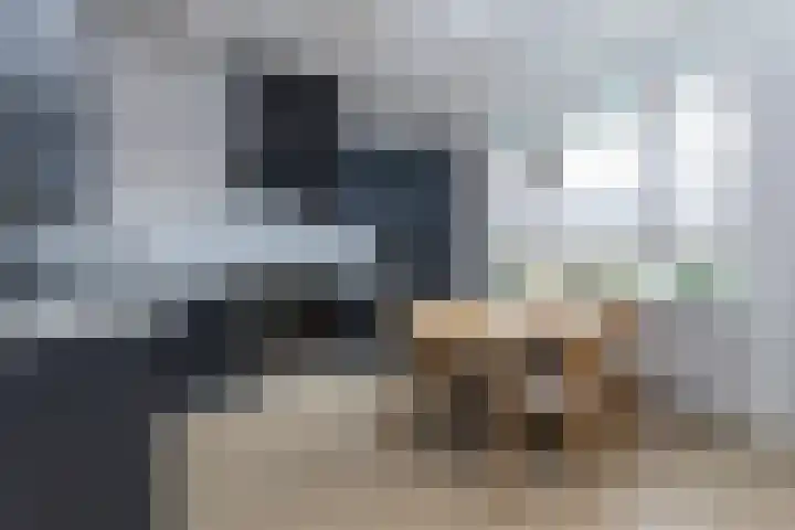Nieuweweg 30 Hattem thumbnail 6