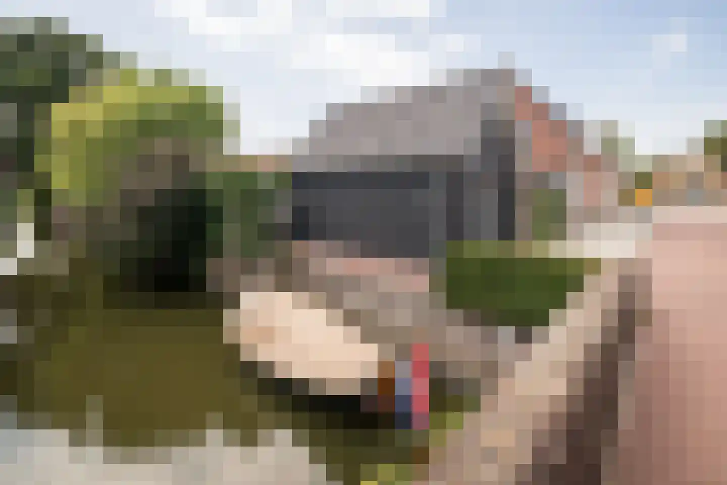 Nieuweweg 31 A Hoogkarspel thumbnail 4