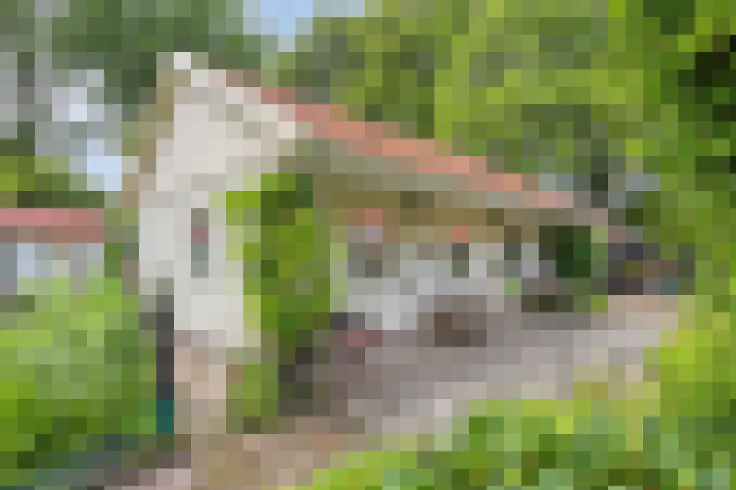 Nieuweweg 34 Noordwolde thumbnail 29