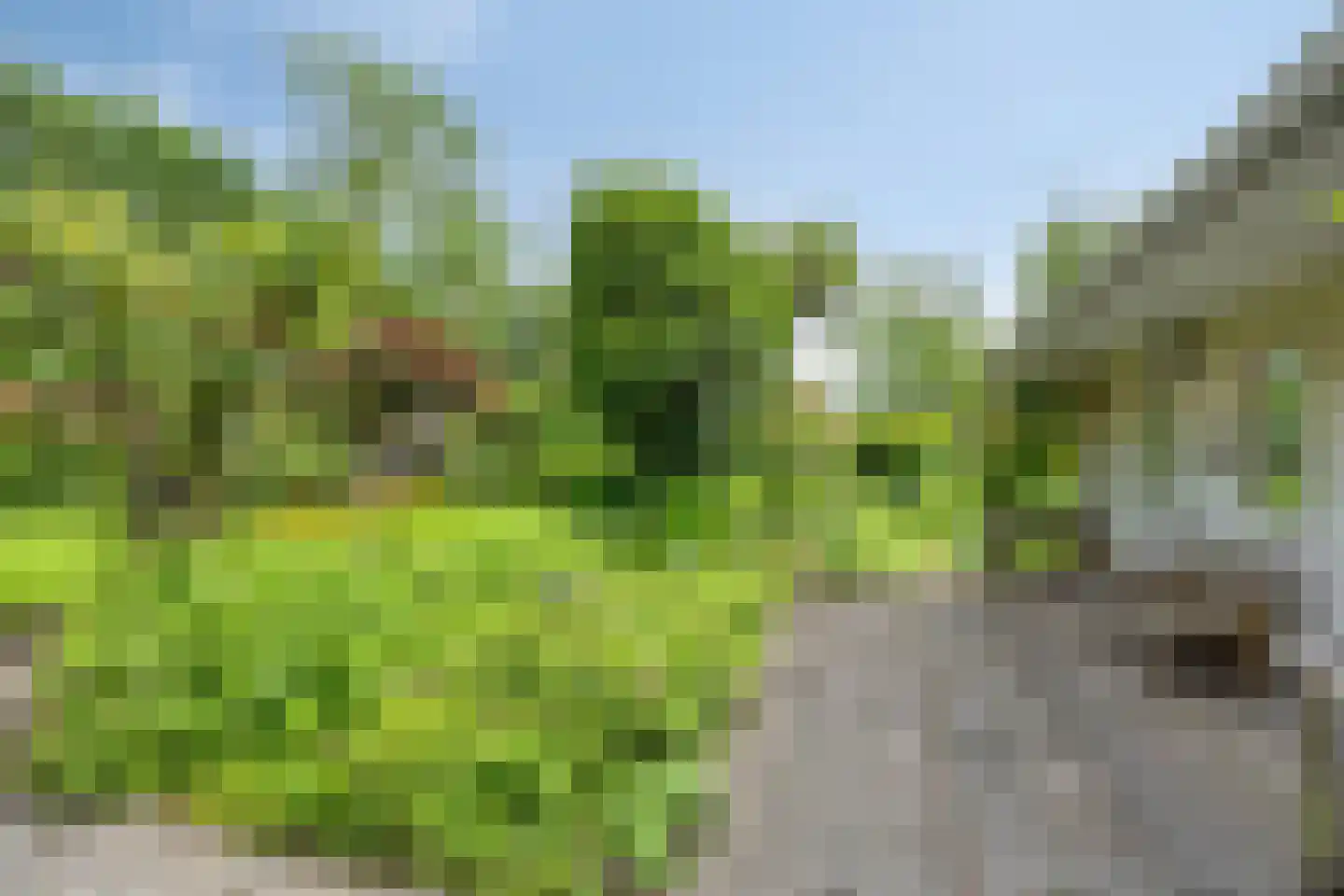 Nieuweweg 34 Noordwolde thumbnail 33