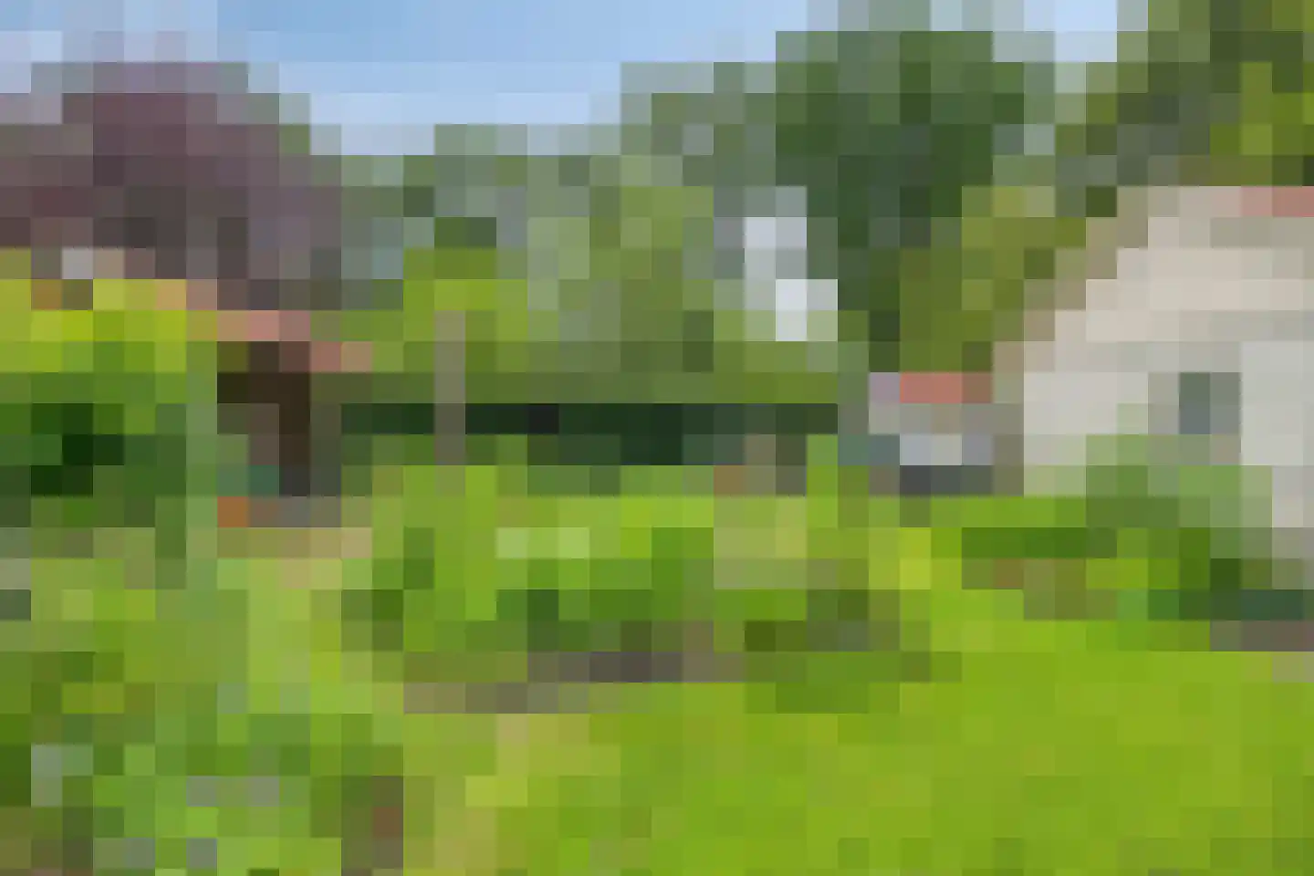 Nieuweweg 34 Noordwolde thumbnail 35