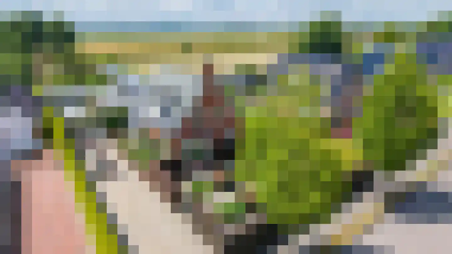Nieuweweg 34 Oostwold thumbnail 10