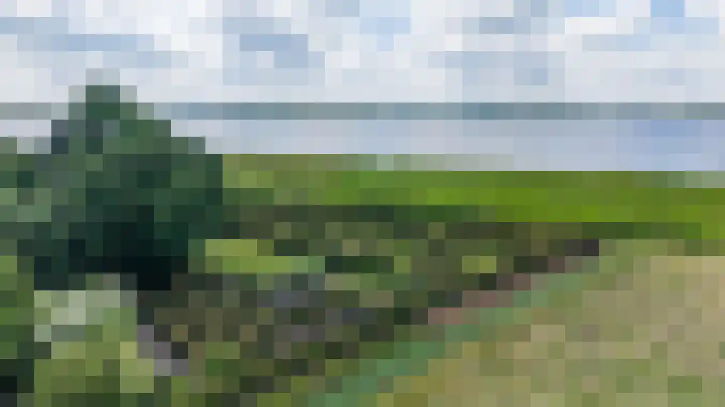 Nieuweweg 34 Oostwold thumbnail 5