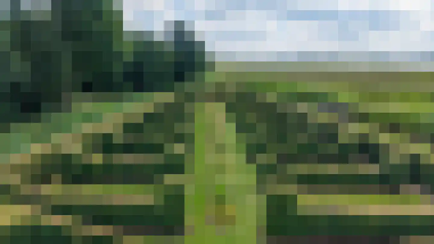 Nieuweweg 34 Oostwold thumbnail 6