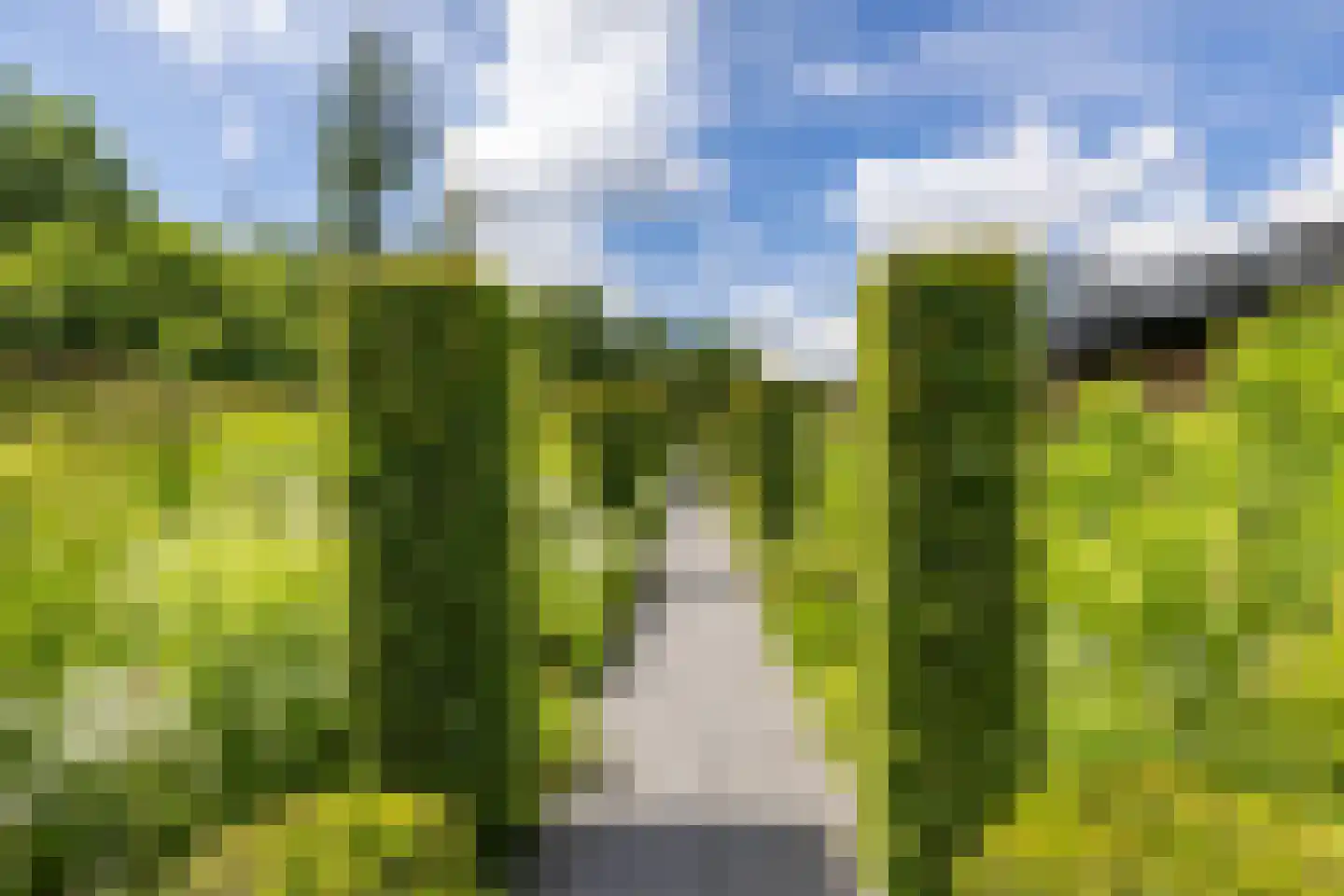 Nieuweweg 34 Oostwold thumbnail 76
