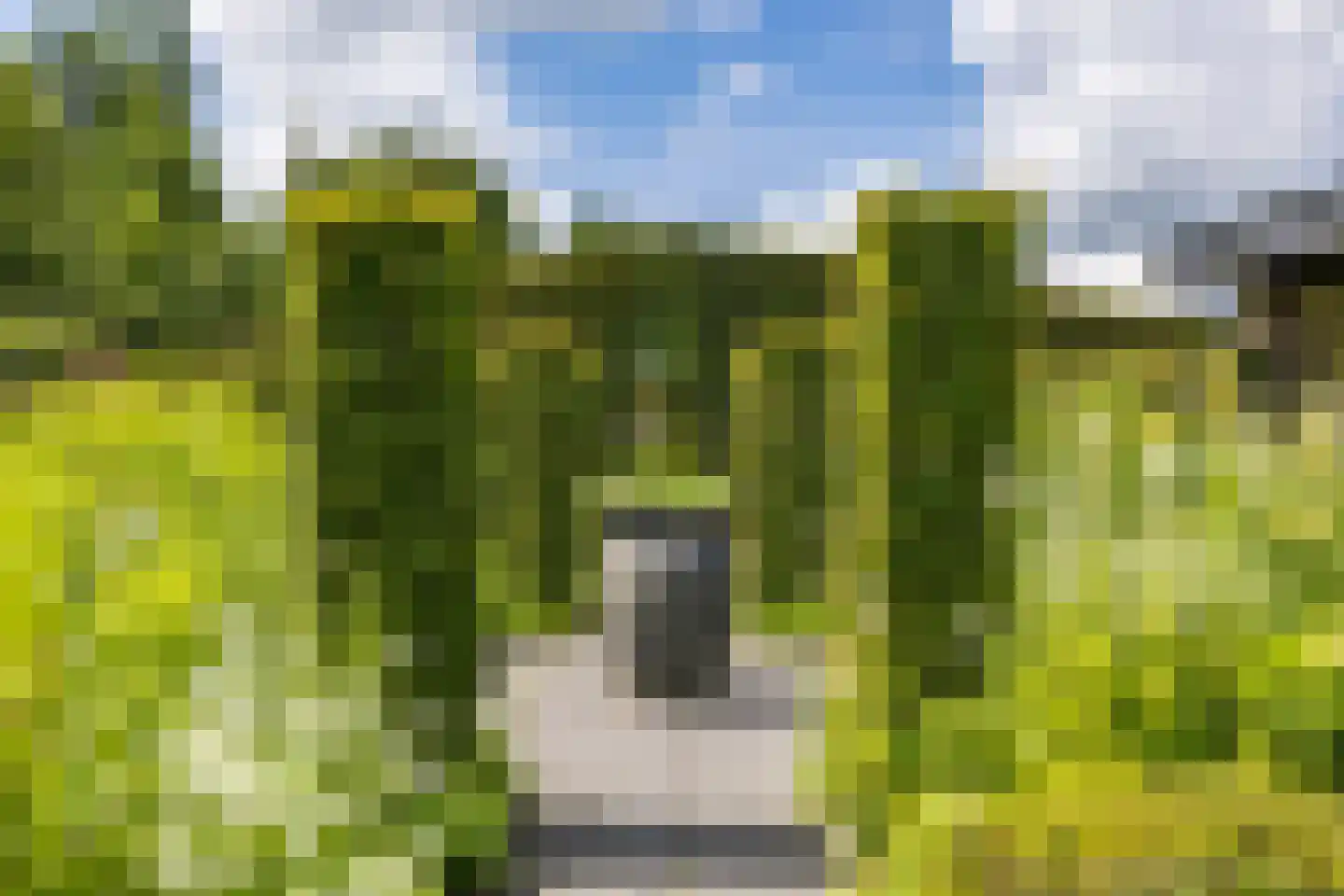 Nieuweweg 34 Oostwold thumbnail 77