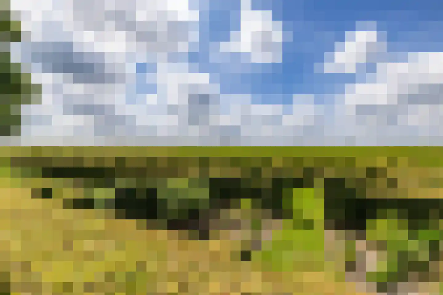Nieuweweg 34 Oostwold thumbnail 79