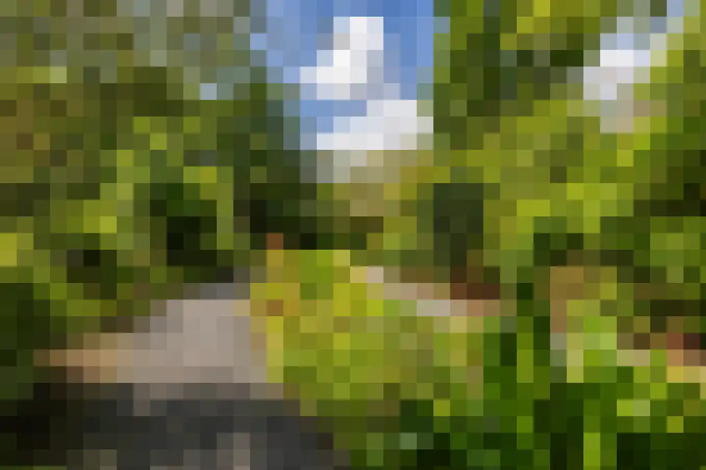 Nieuweweg 34 Oostwold thumbnail 81