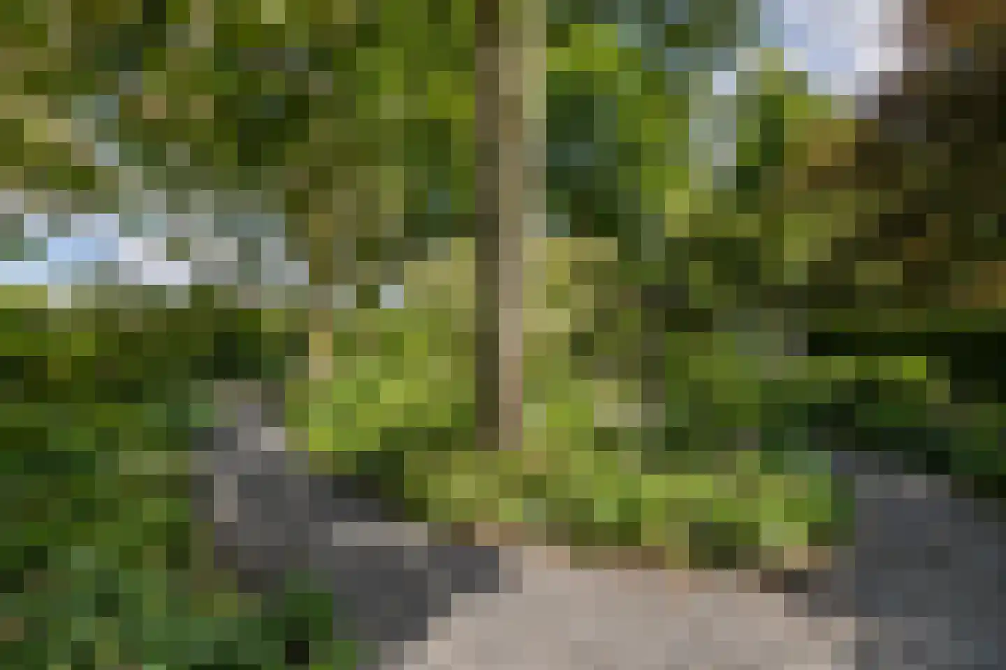 Nieuweweg 34 Oostwold thumbnail 82