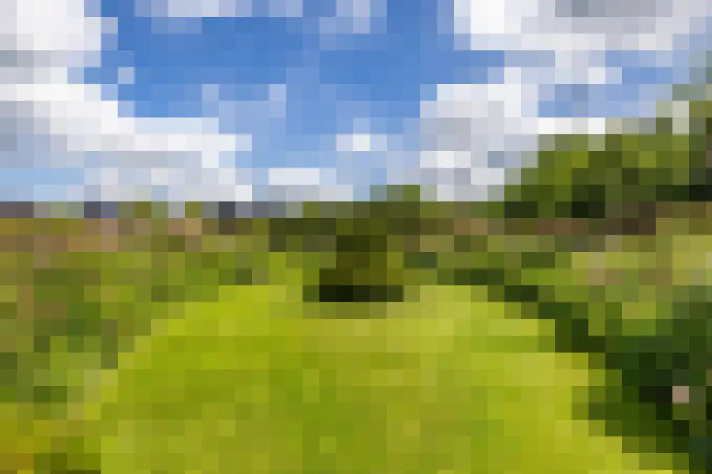 Nieuweweg 34 Oostwold thumbnail 84
