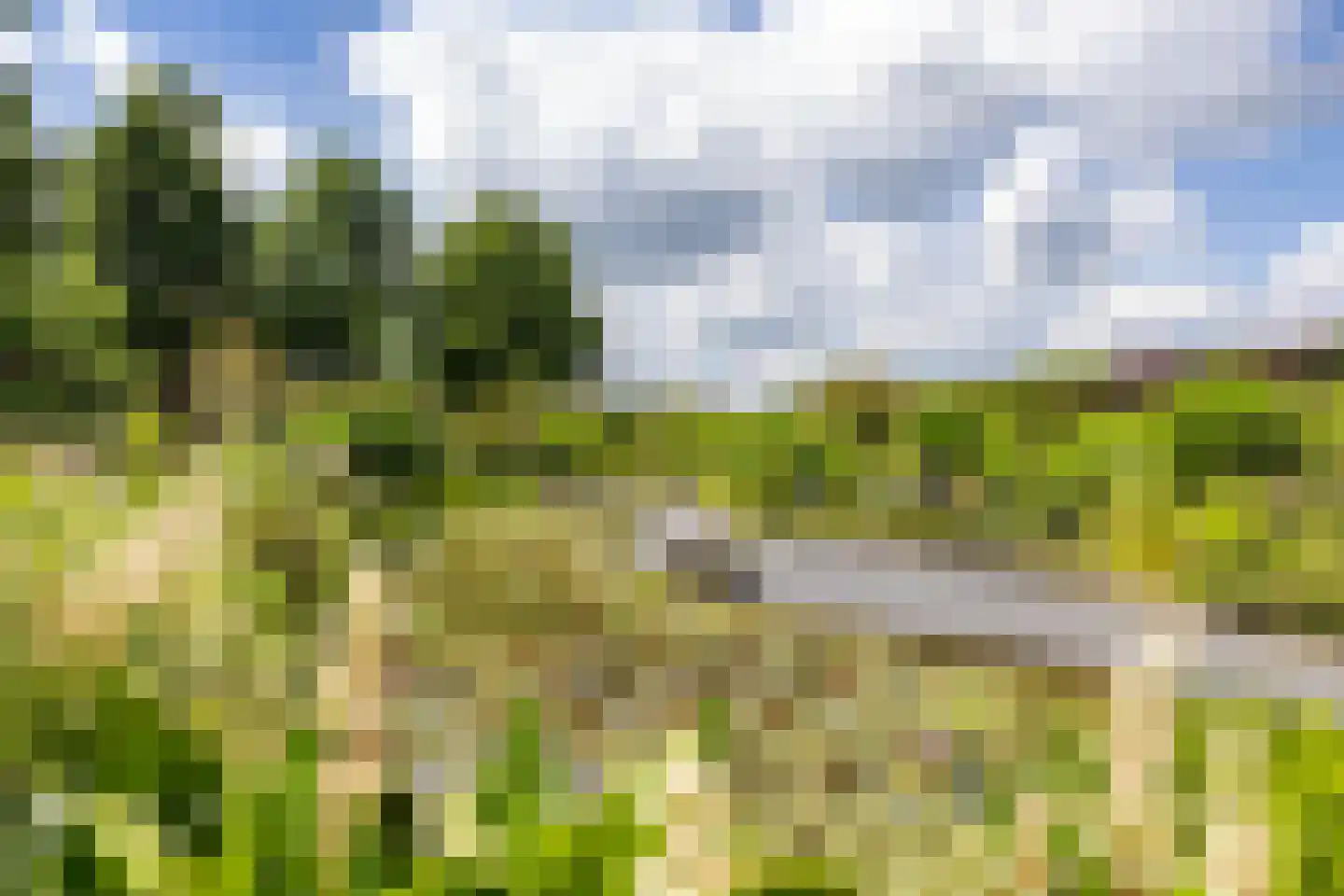 Nieuweweg 34 Oostwold thumbnail 88