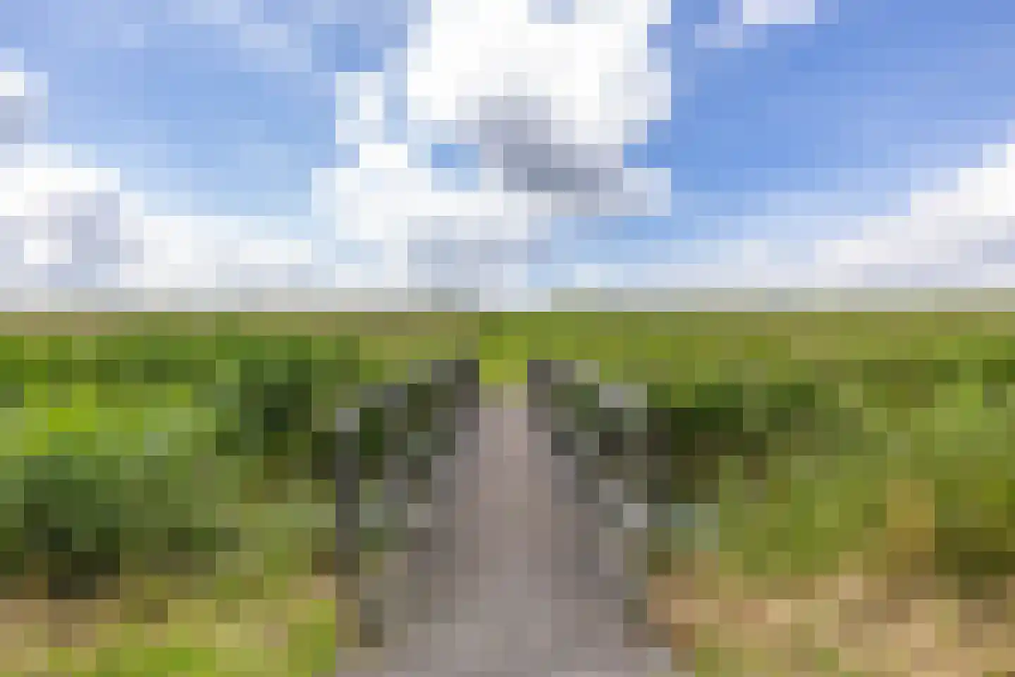 Nieuweweg 34 Oostwold thumbnail 89