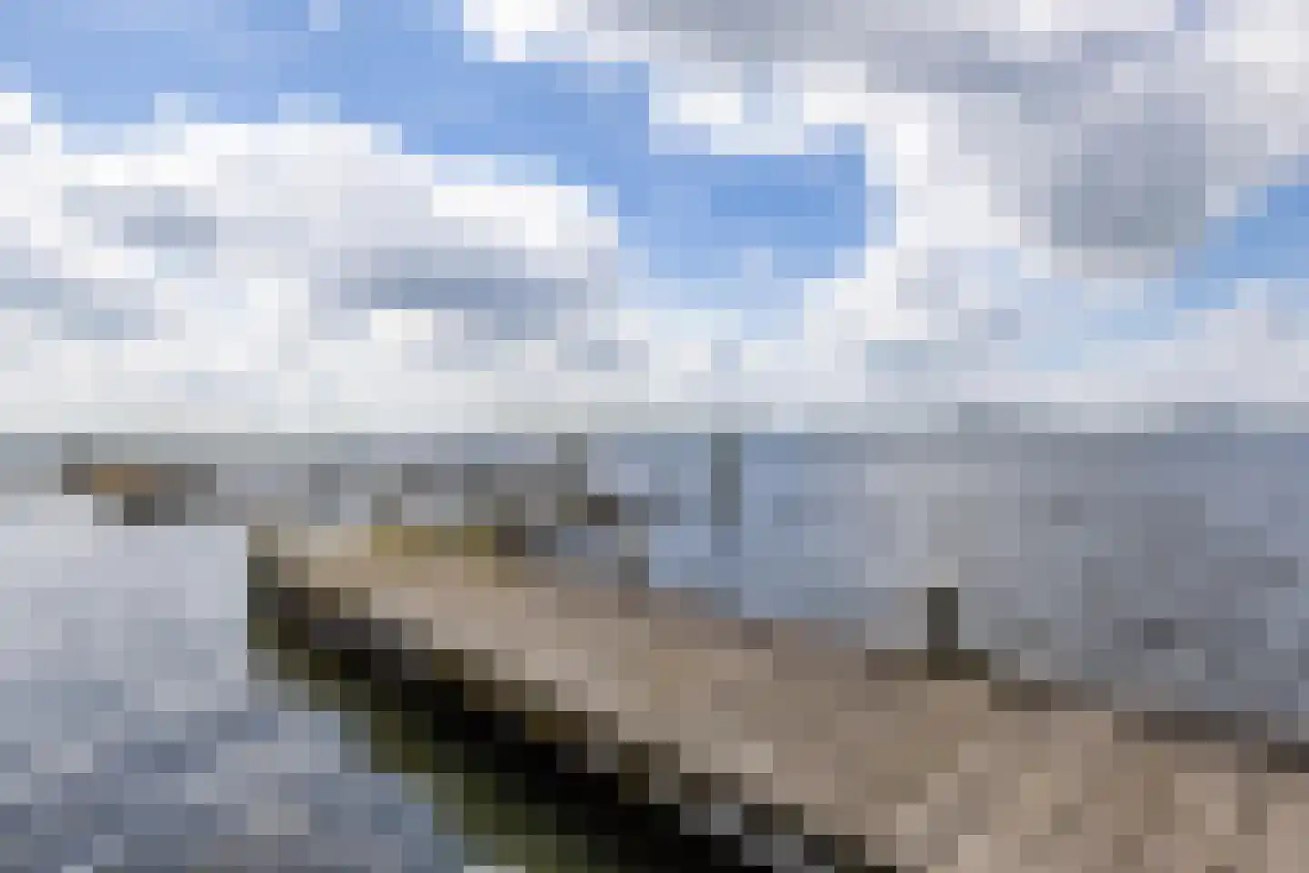 Nieuweweg 34 Oostwold thumbnail 90