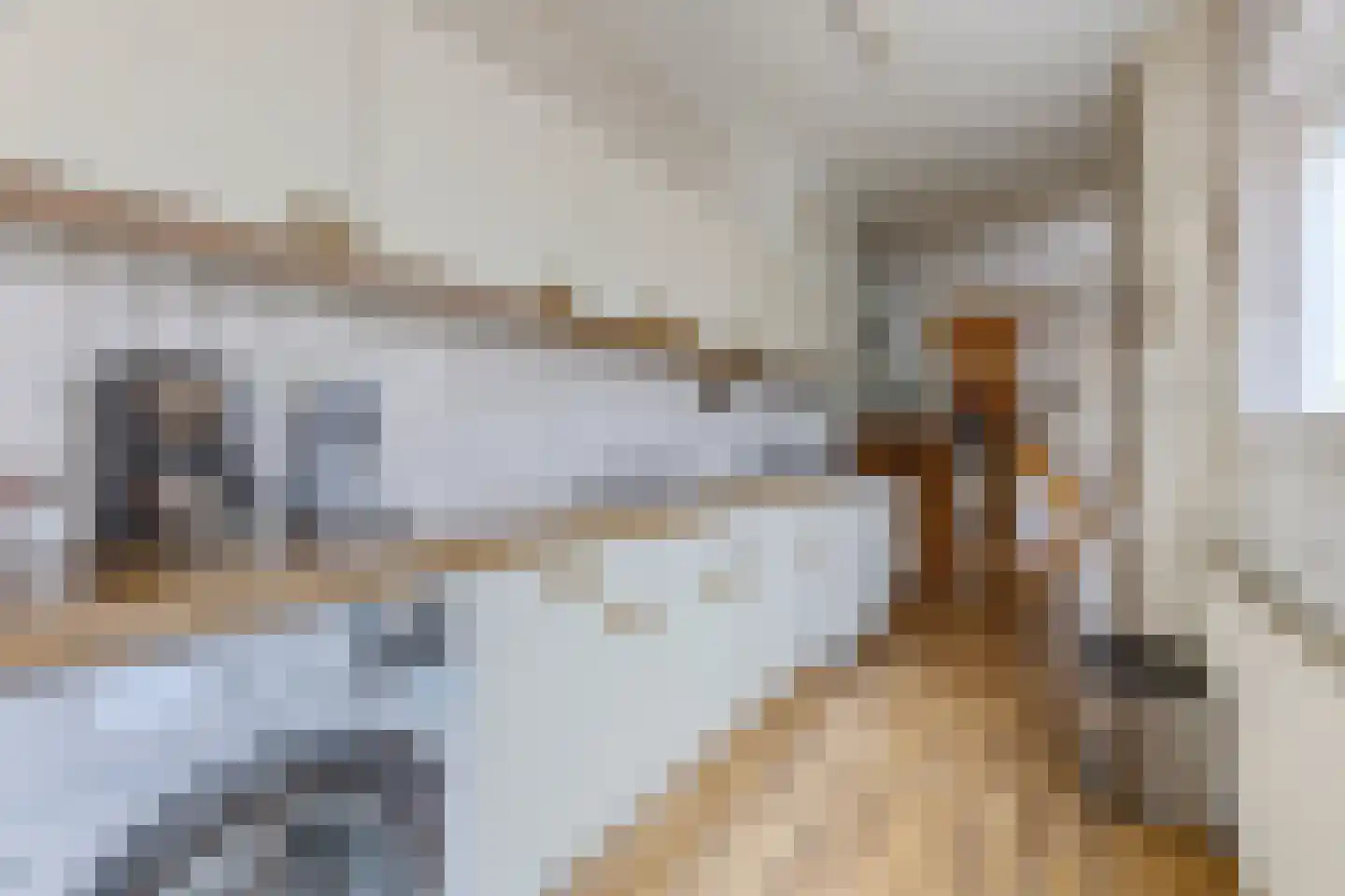 Nieuweweg 35 Wormer thumbnail 9