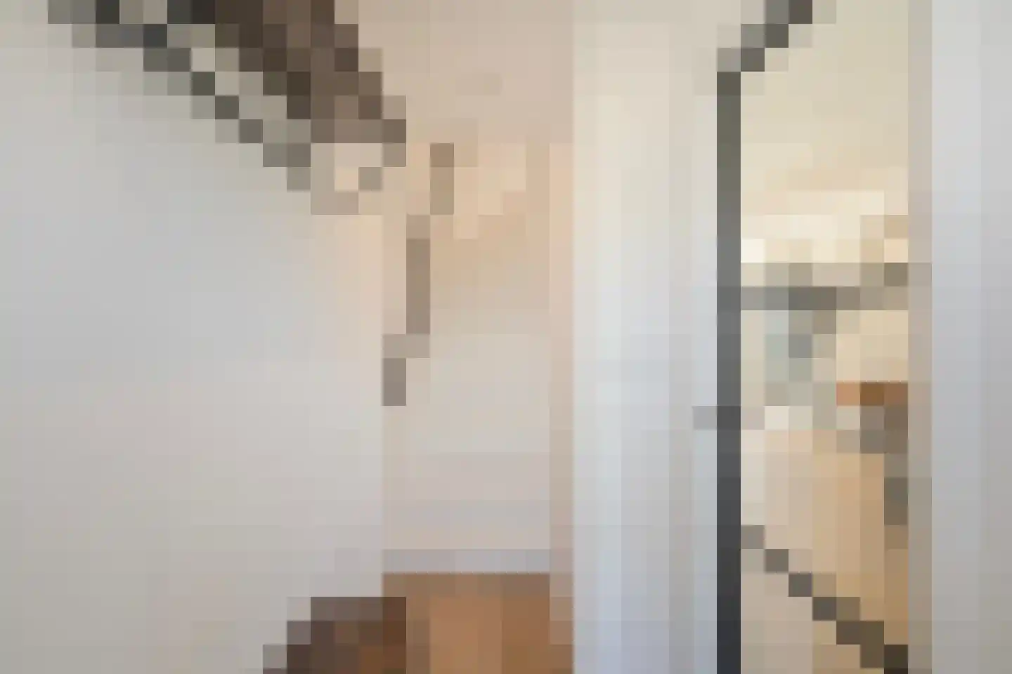 Nieuweweg 37 Anna Paulowna thumbnail 9