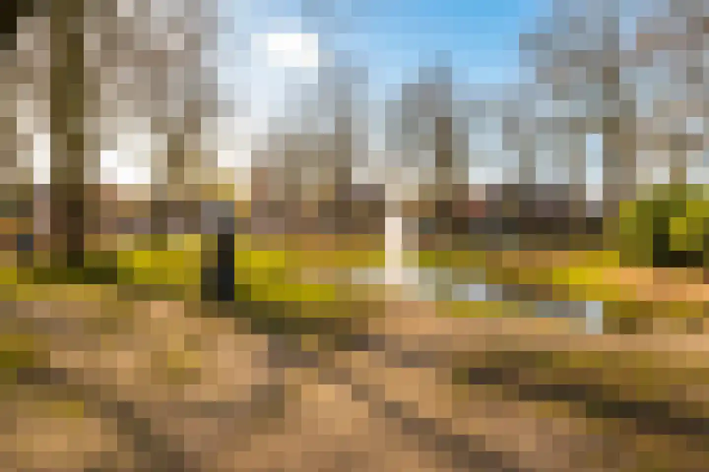 Nieuweweg 37 c Laren thumbnail 20