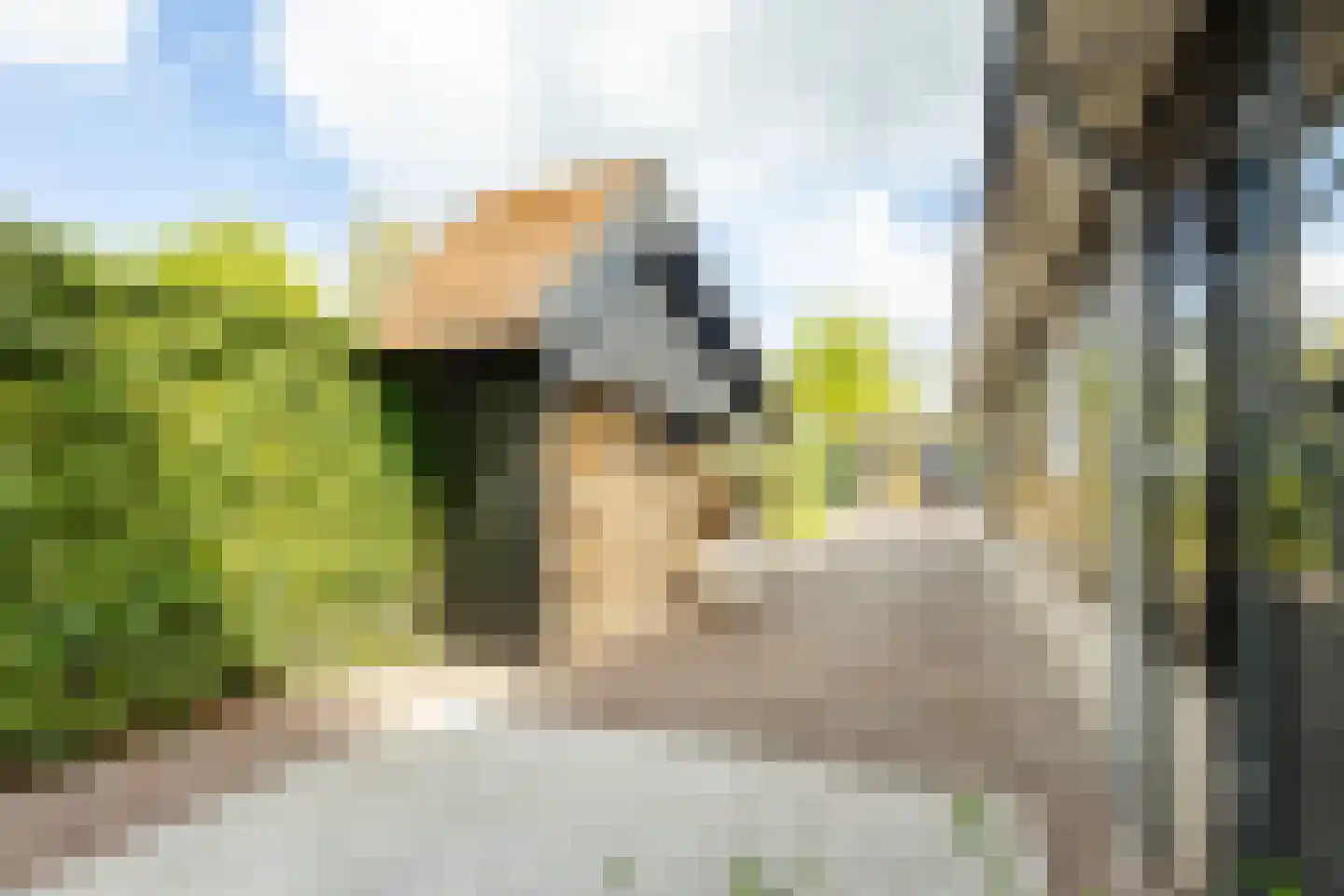 Nieuweweg 37 Hardinxveld-Giessendam thumbnail 30