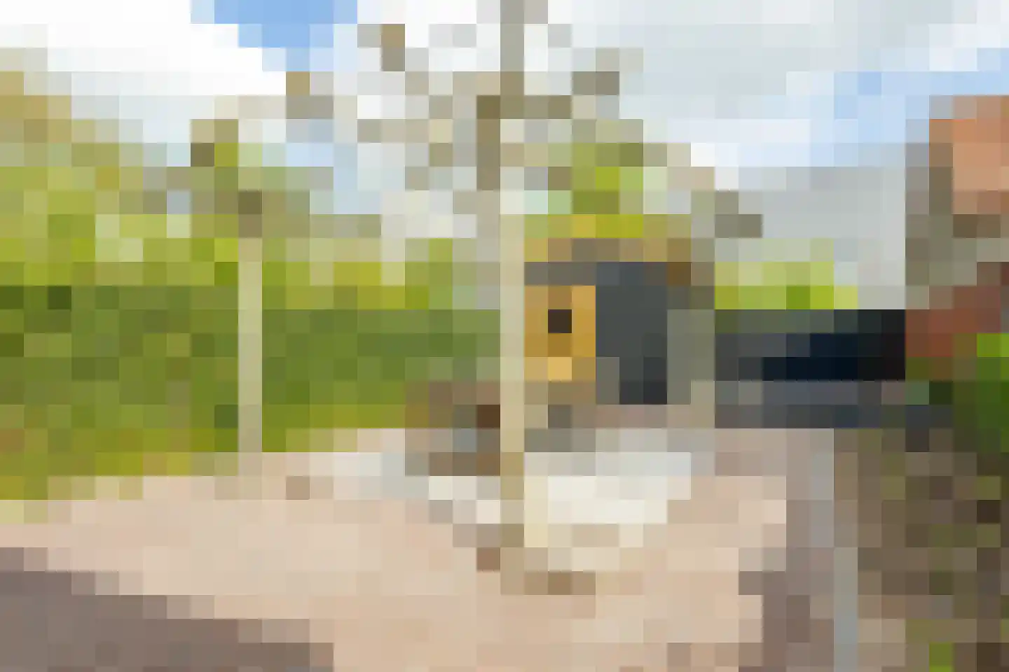 Nieuweweg 37 Hardinxveld-Giessendam thumbnail 31