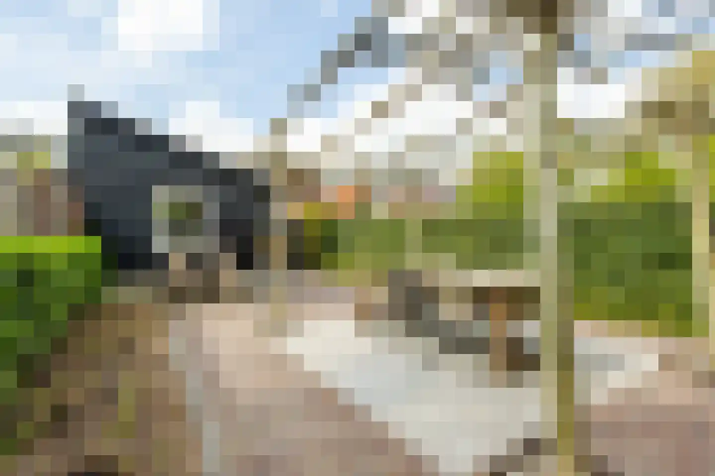 Nieuweweg 37 Hardinxveld-Giessendam thumbnail 33