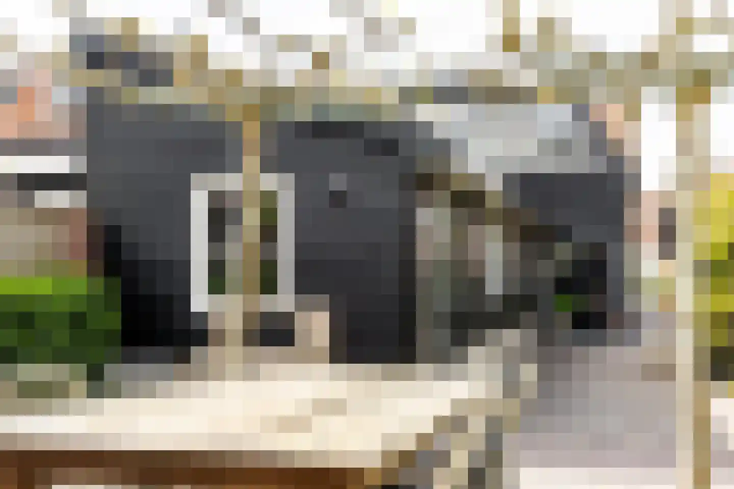 Nieuweweg 37 Hardinxveld-Giessendam thumbnail 39