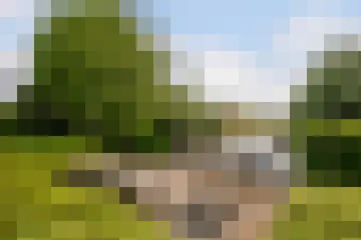 Nieuweweg 37 Honselersdijk thumbnail 23