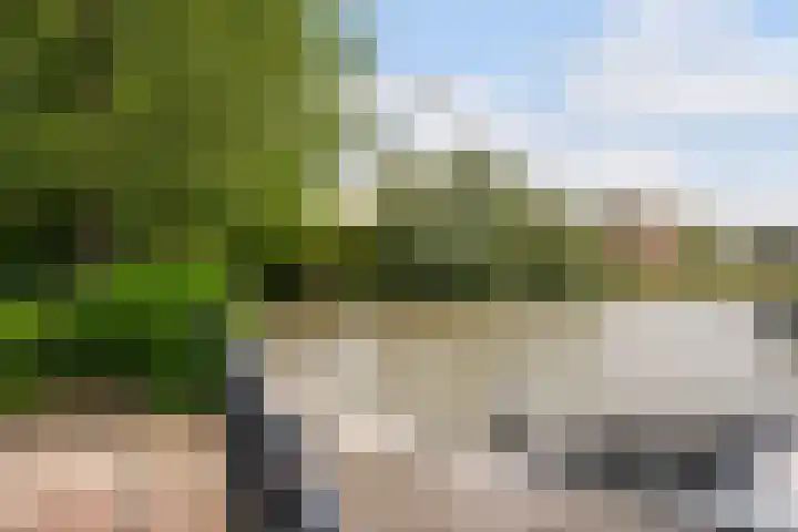 Nieuweweg 37 Honselersdijk thumbnail 24