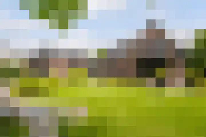 Nieuweweg 37 Honselersdijk thumbnail 26