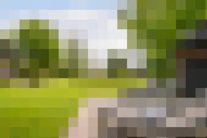 Nieuweweg 37 Honselersdijk thumbnail 27