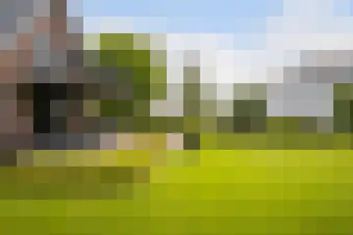 Nieuweweg 37 Honselersdijk thumbnail 28