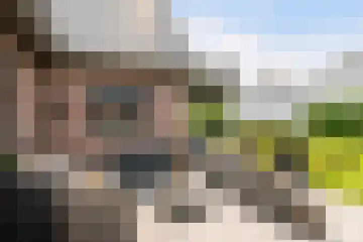Nieuweweg 37 Honselersdijk thumbnail 30