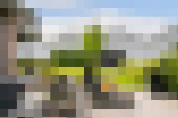 Nieuweweg 37 Honselersdijk thumbnail 31