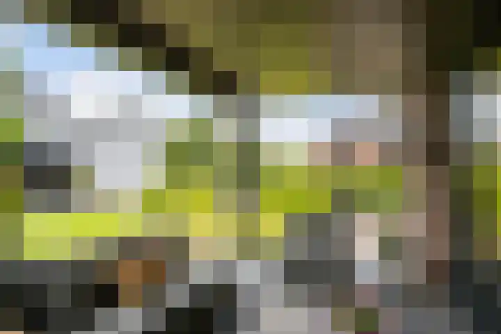 Nieuweweg 37 Honselersdijk thumbnail 33