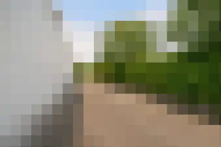 Nieuweweg 37 Honselersdijk thumbnail 37