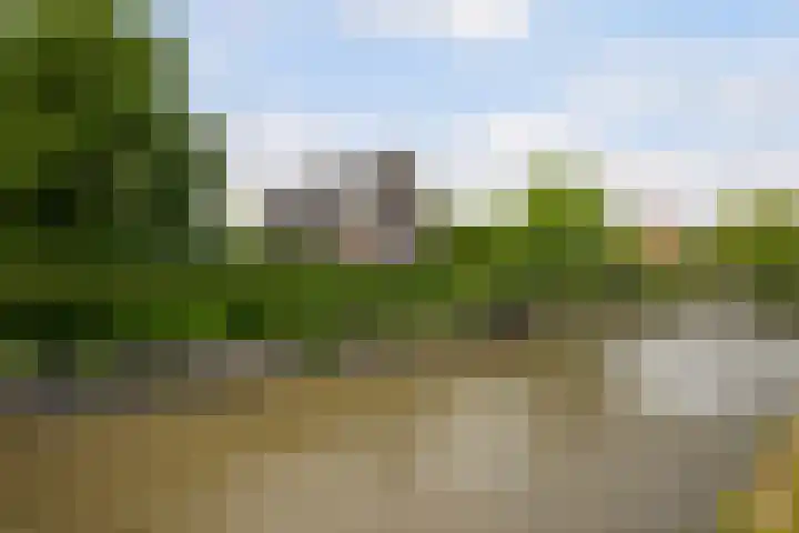 Nieuweweg 37 Honselersdijk thumbnail 4