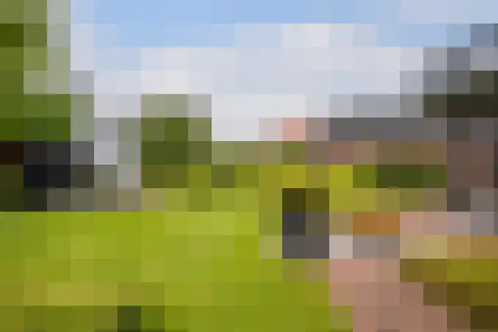 Nieuweweg 37 Honselersdijk thumbnail 40