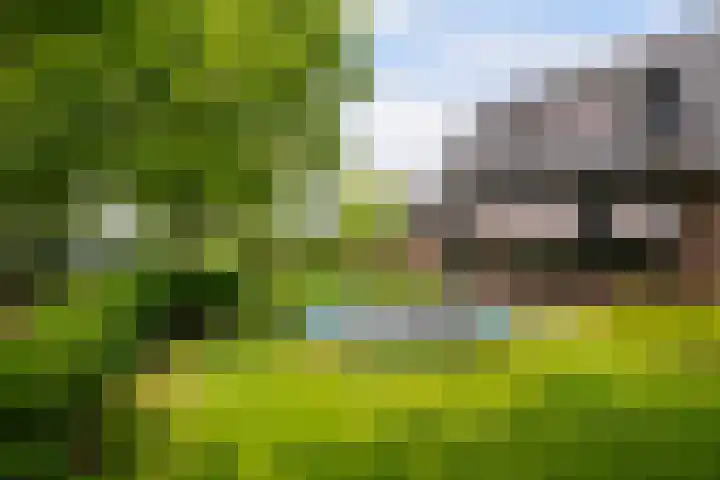 Nieuweweg 37 Honselersdijk thumbnail 42