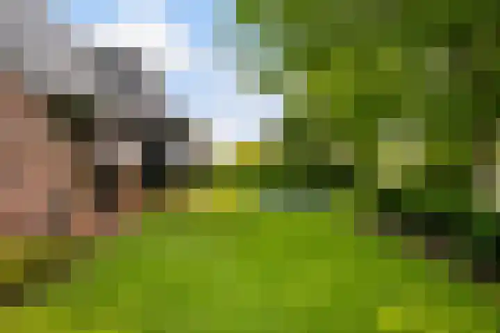 Nieuweweg 37 Honselersdijk thumbnail 44