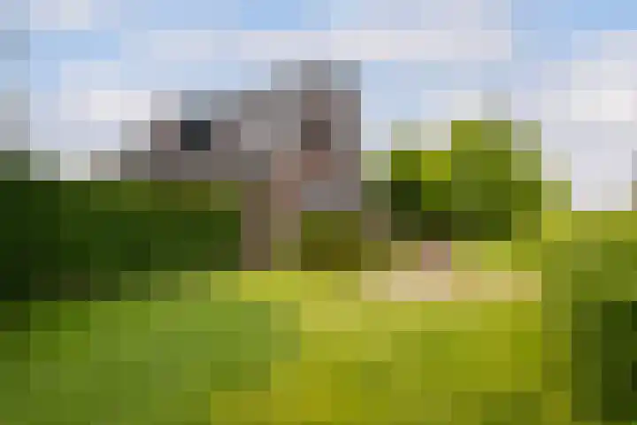 Nieuweweg 37 Honselersdijk thumbnail 45
