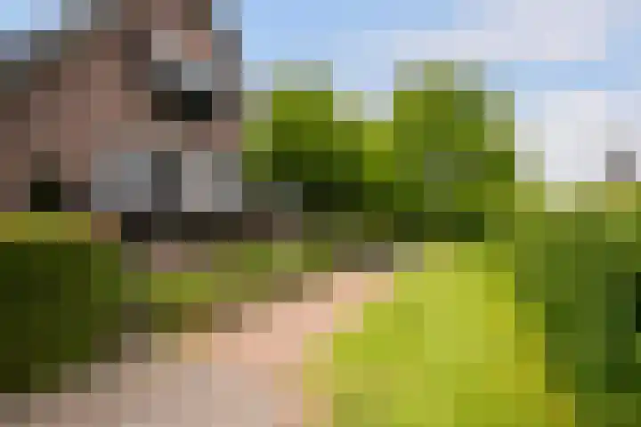 Nieuweweg 37 Honselersdijk thumbnail 46