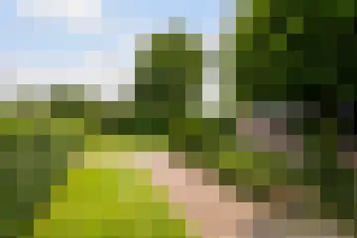 Nieuweweg 37 Honselersdijk thumbnail 48